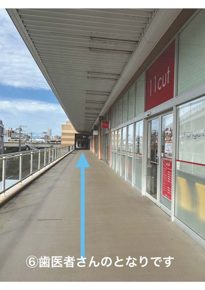 歯医者さんのとなりです